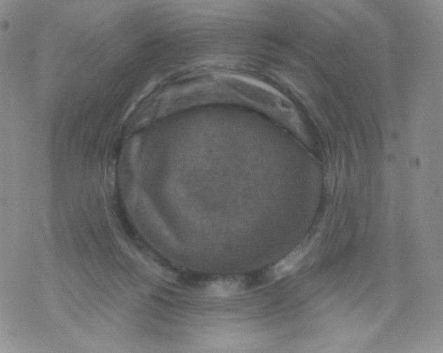 X0000071850168200607211901