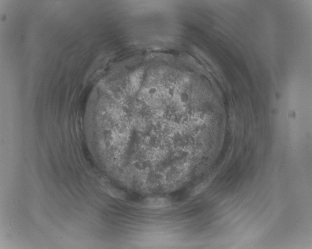 X0000071850169200607211901