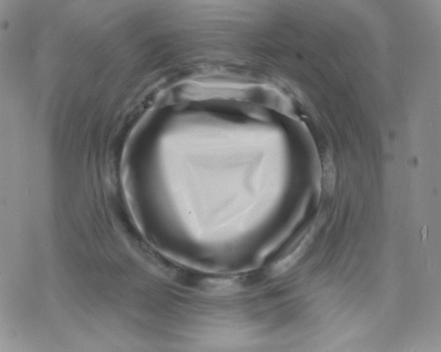 X0000071850170200607211901