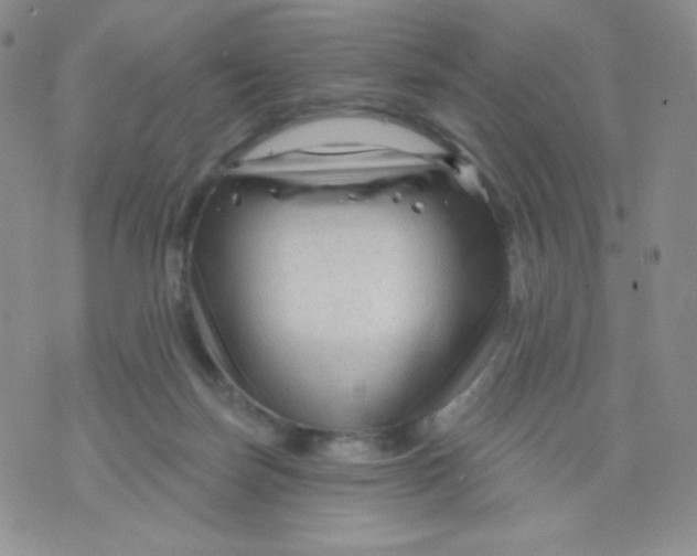 X0000071850171200607211901