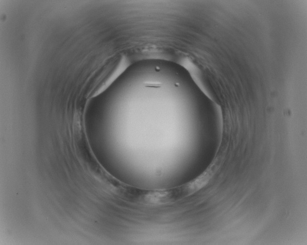 X0000071850172200607211901