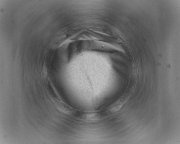 X0000071850173200607211901