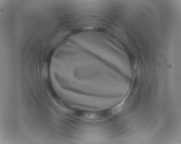 X0000071850174200607211901