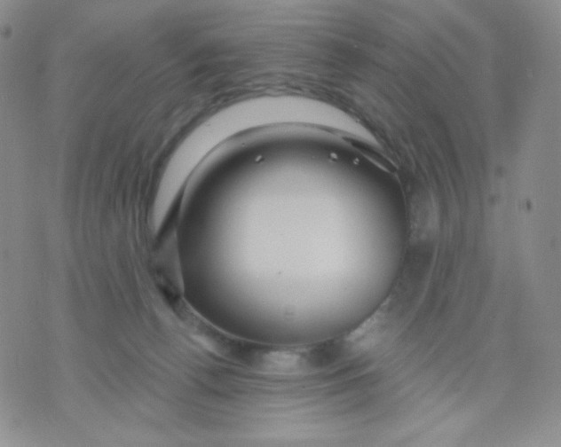 X0000071850176200607211901