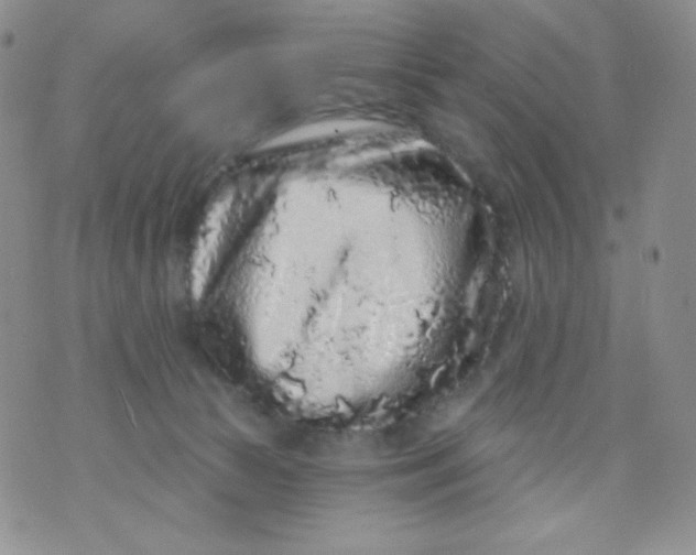 X0000071850177200607211901