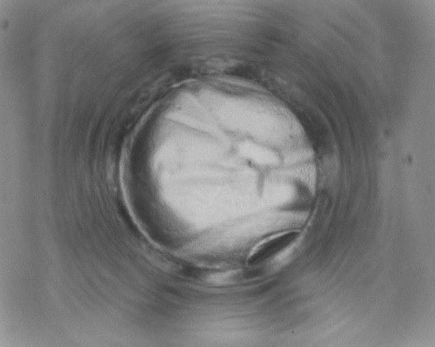 X0000071850178200607211901