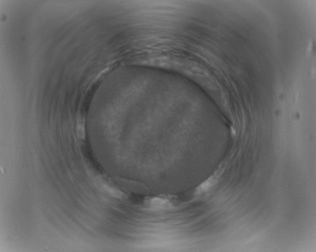 X0000071850180200607211901