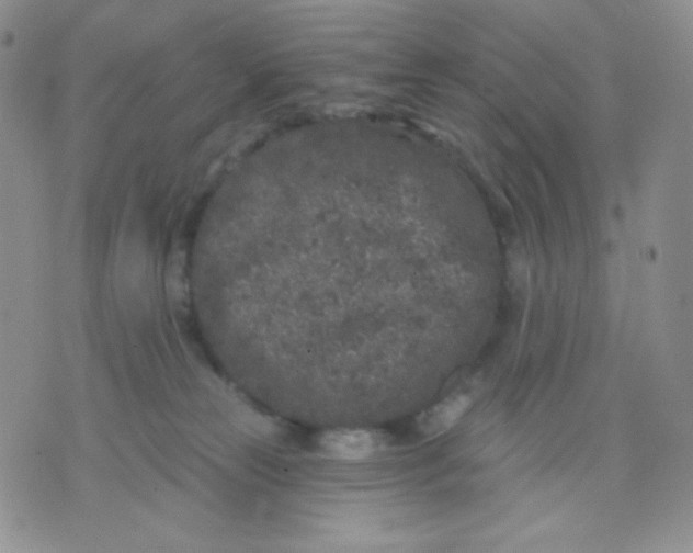 X0000071850181200607211901