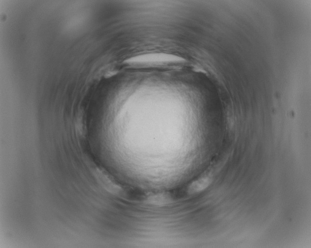 X0000071850185200607211901