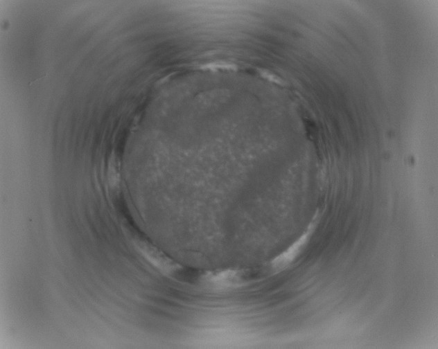 X0000071850186200607211901