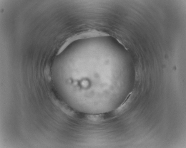 X0000071850187200607211901