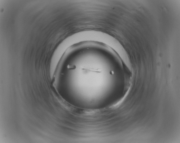 X0000071850190200607211901