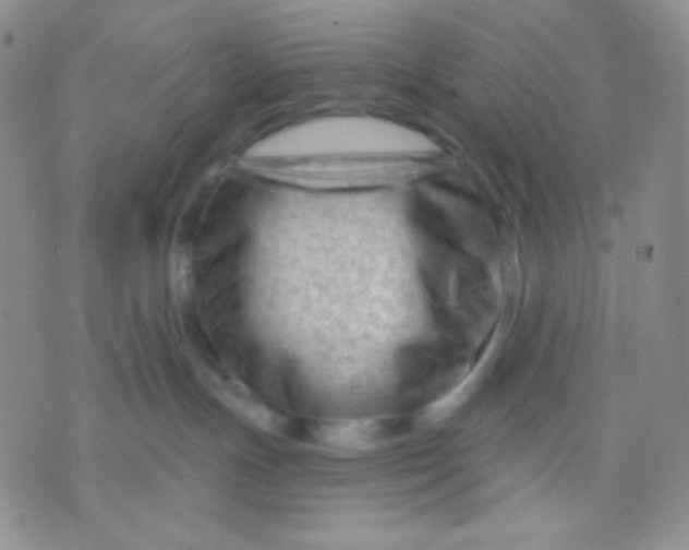 X0000071850191200607211901