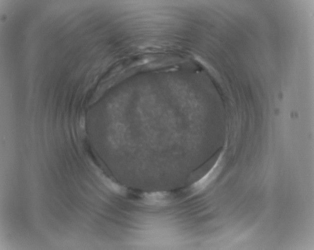 X0000071850192200607211901