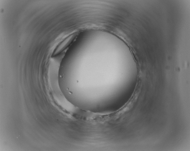 X0000071850193200607211901