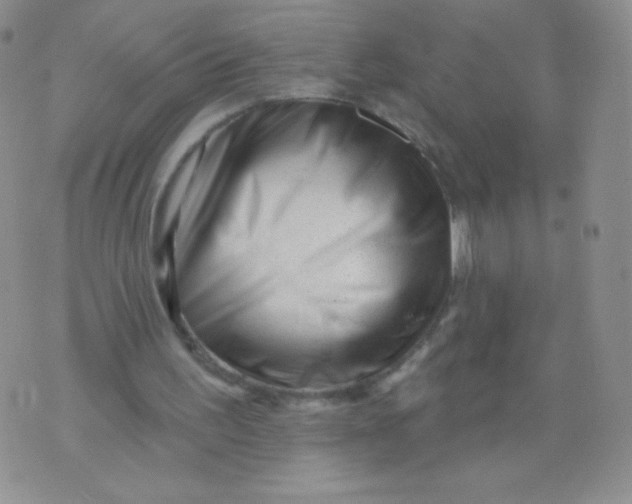 X0000071850195200607211901