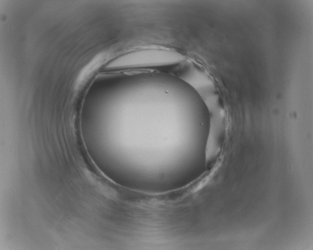 X0000071850197200607211901