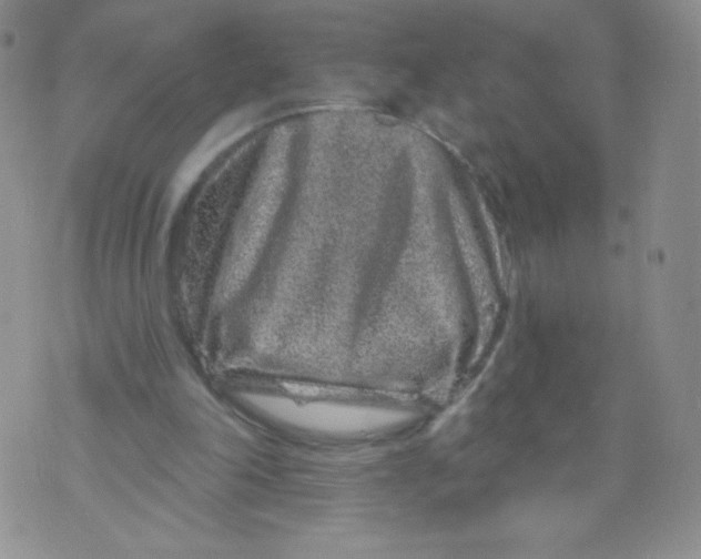 X0000071850198200607211900