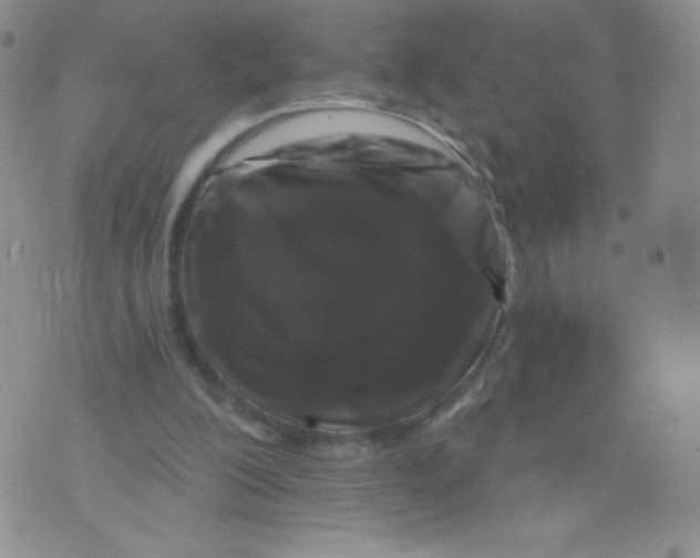 X0000071850200200607211900