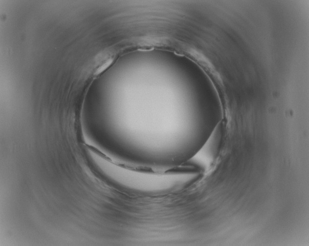 X0000071850201200607211900