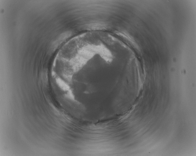 X0000071850202200607211900