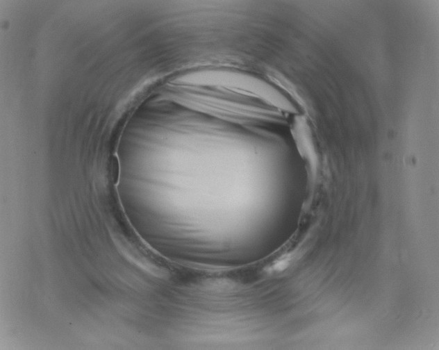 X0000071850203200607211900