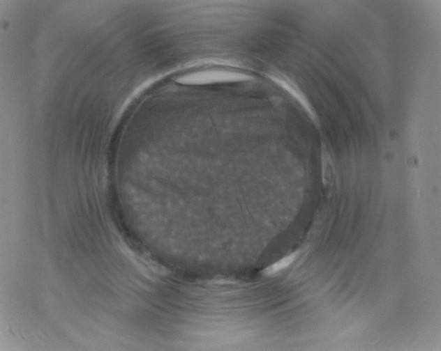 X0000071850204200607211900