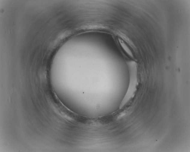 X0000071850207200607211900