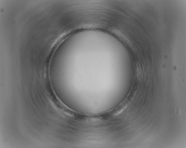 X0000071850208200607211900