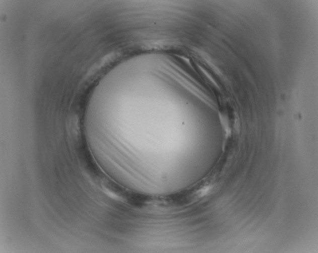 X0000071850211200607211900