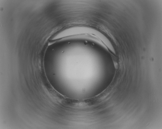 X0000071850212200607211900