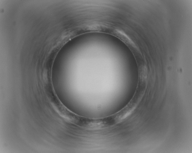 X0000071850213200607211900