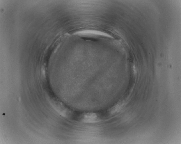 X0000071850214200607211900