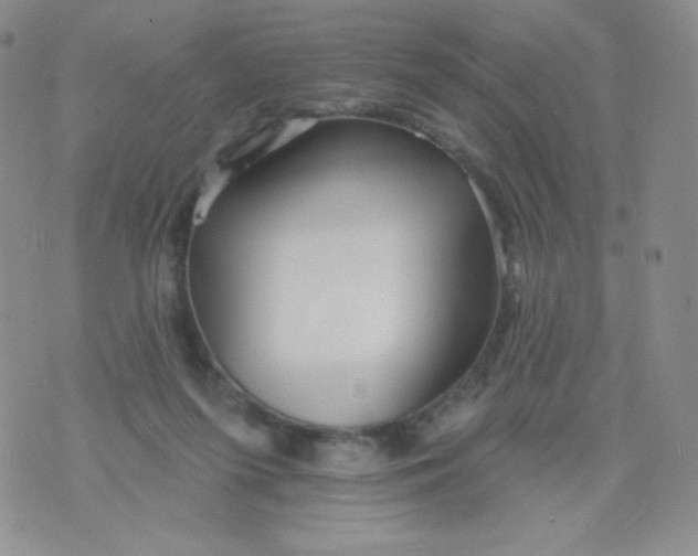 X0000071850215200607211900