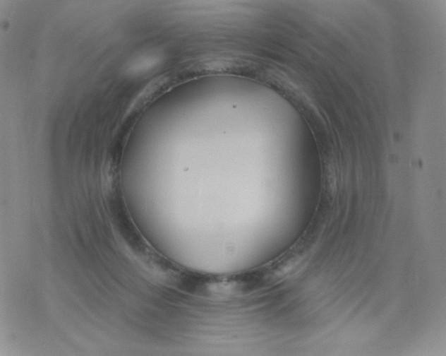 X0000071850216200607211900