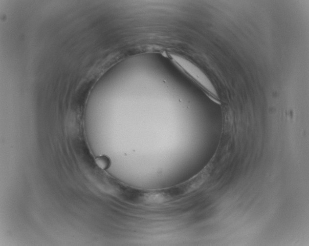 X0000071850218200607211900