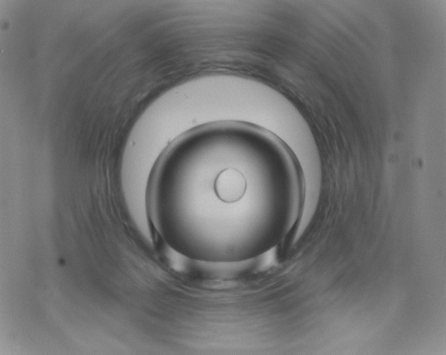 X0000071850219200607211900