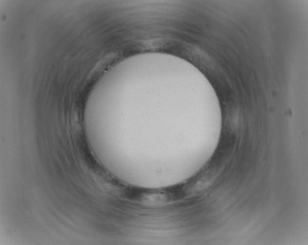 X0000071850220200607211900