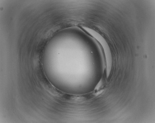 X0000071850221200607211900