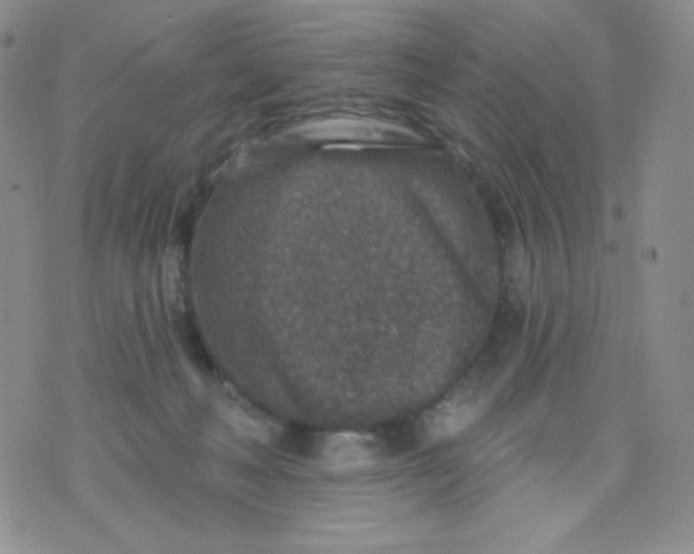 X0000071850222200607211900