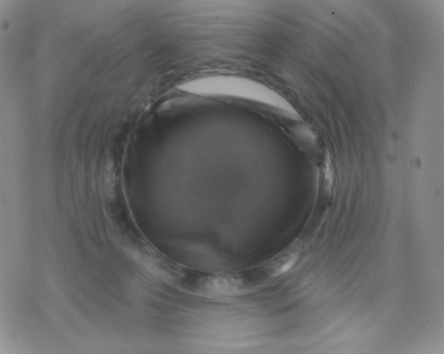 X0000071850223200607211900