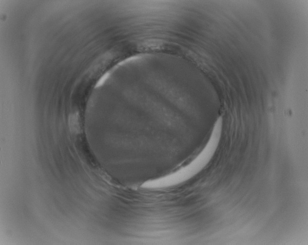 X0000071850224200607211900