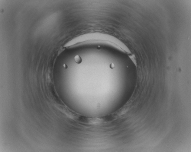 X0000071850226200607211900