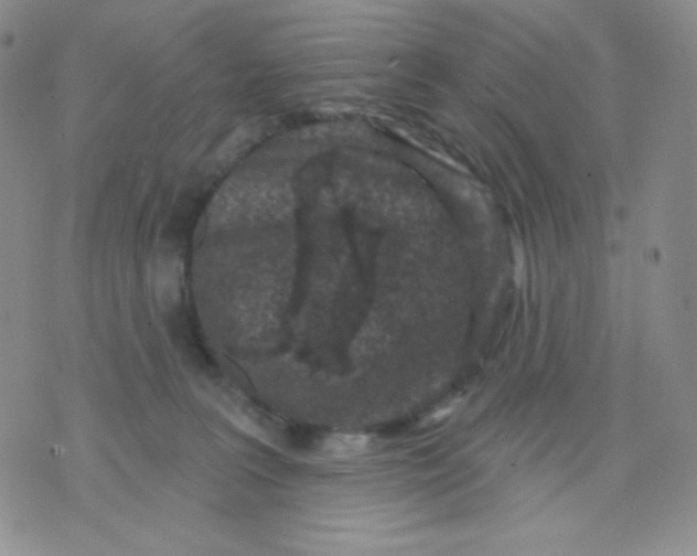 X0000071850227200607211900