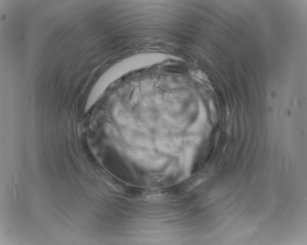 X0000071850228200607211900