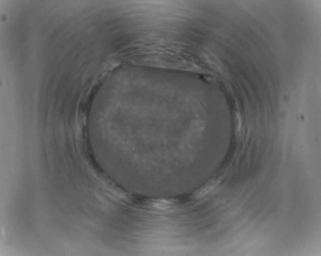 X0000071850229200607211900