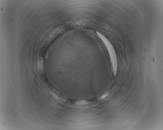 X0000071850231200607211900