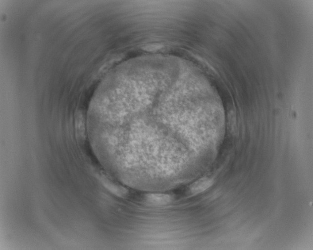 X0000071850234200607211900