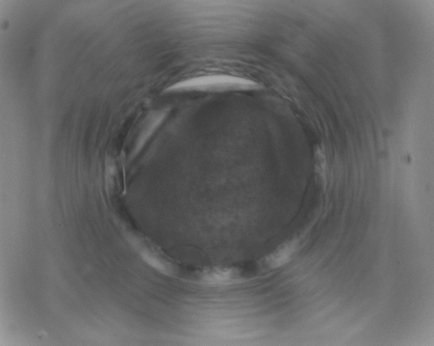 X0000071850235200607211900