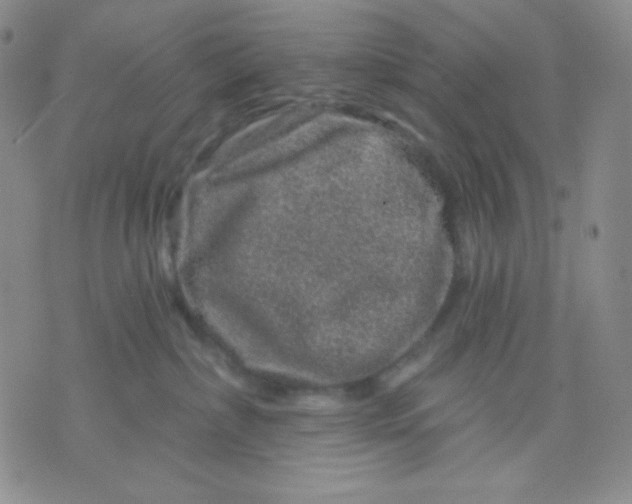 X0000071850236200607211900